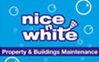 nice-n-white logo
